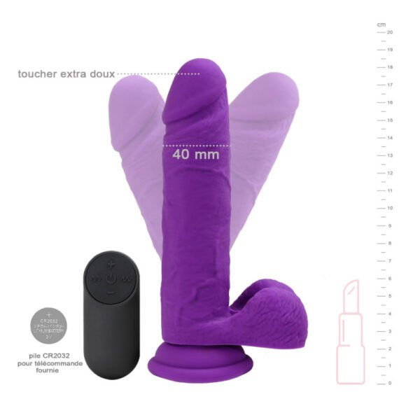 Image du produit