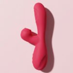 Image du produit précédent